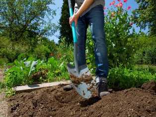 Лопата: незаменимый инструмент для сада и сельского хозяйства