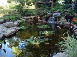 Садовые водоемы и пруды: создание атмосферы спокойствия и гармонии на участке