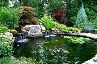 Садовые водоемы: создание и уход