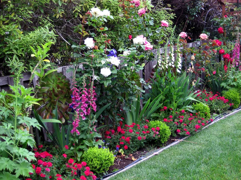Цветочные композиции в саду: выбор и уход