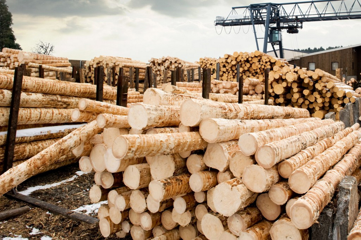 Надежность и безопасность промышленного оборудования для деревообработки