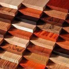 Топ 10 видов древесины для мебели